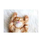 ヒメ日記 2025/01/28 07:36 投稿 まいな ハニープラザ（ユメオト）