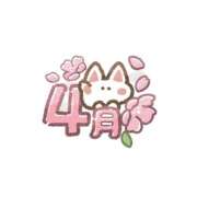 ヒメ日記 2025/03/25 14:55 投稿 まいな ハニープラザ（ユメオト）