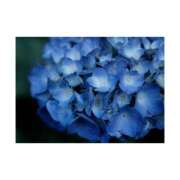 まいな 6月の出勤日𓏲𓎨 ハニープラザ（ユメオト）