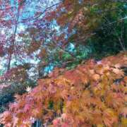 ヒメ日記 2024/12/20 12:25 投稿 はる 横浜おかあさん