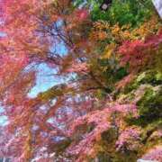 ヒメ日記 2024/12/21 12:25 投稿 はる 横浜おかあさん