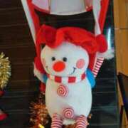 ヒメ日記 2024/12/24 15:35 投稿 はる 横浜おかあさん