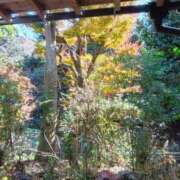 ヒメ日記 2025/01/05 17:25 投稿 はる 横浜おかあさん