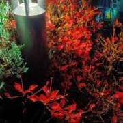 ヒメ日記 2025/01/06 21:08 投稿 はる 横浜おかあさん