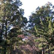 ヒメ日記 2025/01/14 13:45 投稿 はる 横浜おかあさん