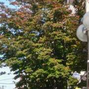 ヒメ日記 2025/01/16 15:06 投稿 はる 横浜おかあさん