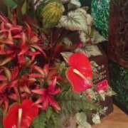 ヒメ日記 2025/01/18 16:45 投稿 はる 横浜おかあさん