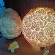 ヒメ日記 2025/02/03 19:55 投稿 はる 横浜おかあさん