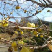 ヒメ日記 2025/02/04 07:21 投稿 はる 横浜おかあさん