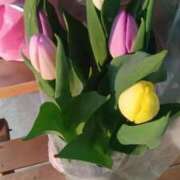 ヒメ日記 2025/02/09 09:43 投稿 はる 横浜おかあさん