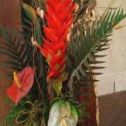 ヒメ日記 2025/02/09 11:55 投稿 はる 横浜おかあさん