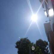 ヒメ日記 2025/02/10 07:15 投稿 はる 横浜おかあさん