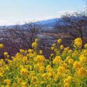 ヒメ日記 2025/02/20 08:53 投稿 はる 横浜おかあさん