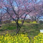 ヒメ日記 2025/02/21 07:25 投稿 はる 横浜おかあさん