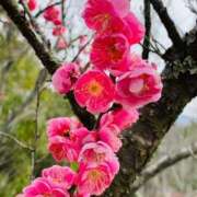 ヒメ日記 2025/02/22 14:55 投稿 はる 横浜おかあさん