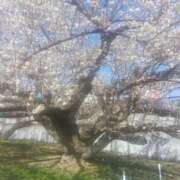 ヒメ日記 2025/02/23 06:05 投稿 はる 横浜おかあさん