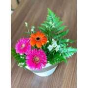 ヒメ日記 2025/02/24 10:25 投稿 はる 横浜おかあさん