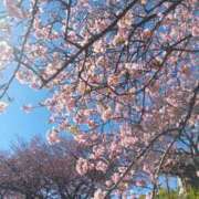 ヒメ日記 2025/02/25 12:45 投稿 はる 横浜おかあさん