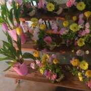 ヒメ日記 2025/02/25 18:05 投稿 はる 横浜おかあさん