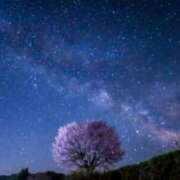 ヒメ日記 2025/02/26 18:25 投稿 はる 横浜おかあさん