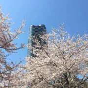 ヒメ日記 2025/03/26 18:45 投稿 はる 横浜おかあさん