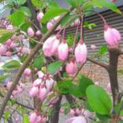 ヒメ日記 2025/04/02 13:55 投稿 はる 横浜おかあさん