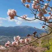 ヒメ日記 2025/04/07 07:05 投稿 はる 横浜おかあさん