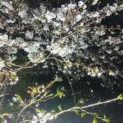 ヒメ日記 2025/04/15 21:46 投稿 はる 横浜おかあさん