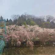 ヒメ日記 2025/04/20 12:06 投稿 はる 横浜おかあさん