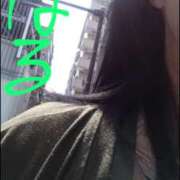 ヒメ日記 2025/04/22 10:45 投稿 はる 横浜おかあさん