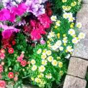 ヒメ日記 2025/04/24 09:45 投稿 はる 横浜おかあさん