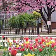 ヒメ日記 2025/04/25 16:45 投稿 はる 横浜おかあさん