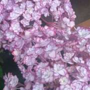 ヒメ日記 2025/05/01 08:55 投稿 はる 横浜おかあさん