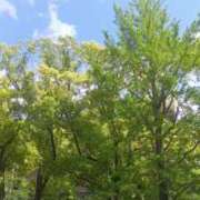 ヒメ日記 2025/05/08 17:15 投稿 はる 横浜おかあさん