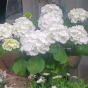 ヒメ日記 2025/05/09 15:45 投稿 はる 横浜おかあさん