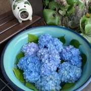 ヒメ日記 2025/05/11 14:15 投稿 はる 横浜おかあさん