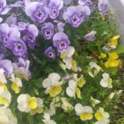 ヒメ日記 2025/05/16 14:35 投稿 はる 横浜おかあさん