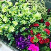 ヒメ日記 2025/05/20 10:35 投稿 はる 横浜おかあさん