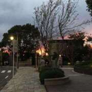 ヒメ日記 2025/05/20 20:25 投稿 はる 横浜おかあさん