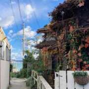 ヒメ日記 2025/05/29 09:05 投稿 はる 横浜おかあさん