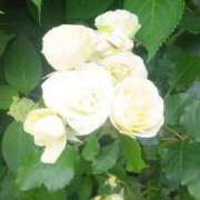 ヒメ日記 2025/06/06 14:15 投稿 はる 横浜おかあさん