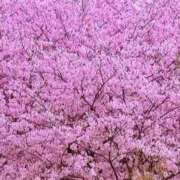 ヒメ日記 2025/06/13 10:36 投稿 はる 横浜おかあさん