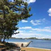 ヒメ日記 2025/06/18 15:05 投稿 はる 横浜おかあさん