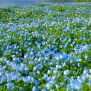 ヒメ日記 2025/07/08 09:18 投稿 はる 横浜おかあさん