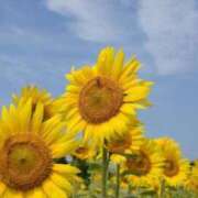 ヒメ日記 2025/07/15 13:45 投稿 はる 横浜おかあさん