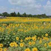 ヒメ日記 2025/07/18 10:36 投稿 はる 横浜おかあさん