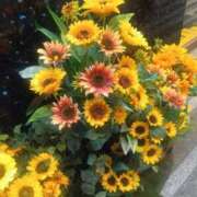 ヒメ日記 2025/08/19 23:15 投稿 はる 横浜おかあさん