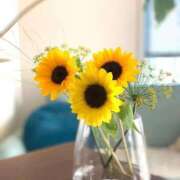 ヒメ日記 2025/09/18 09:58 投稿 はる 横浜おかあさん