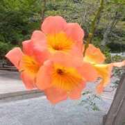 ヒメ日記 2025/09/21 01:35 投稿 はる 横浜おかあさん