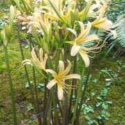 ヒメ日記 2025/09/25 16:25 投稿 はる 横浜おかあさん